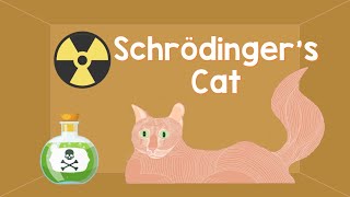 FISICA QUANTISTICA➡️ il Paradosso Del Gatto Vivo e Morto di Schrödinger [upl. by Ariada]