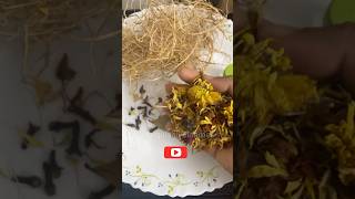 Sambrani from old flowers indianculture tamilvoiceover hindugods traditional naturalfragrance [upl. by Ahsilat]