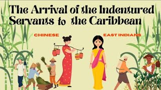 The Arrival of the indentured Servants to the Caribbean  Grades 46 [upl. by Ninaj]