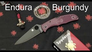 Spyderco Endura Burgundy FRN BK1 BD1 Folding knife [upl. by Delmar]