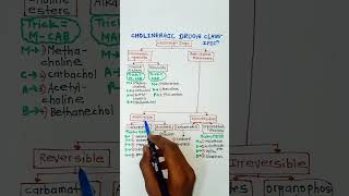 cholinergic drugs pharmacologyanticholineesterasesNeostigminephysostigmineacetylcholineclassifi [upl. by Iney]