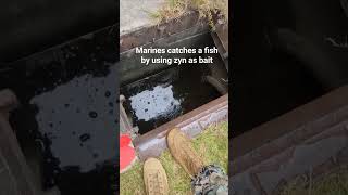 marines catches a fish by using zyn as bait marinecorps semperfi usmilitary usa [upl. by Buddy987]