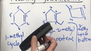 Naming of Cycloalkenes [upl. by Shaddock34]