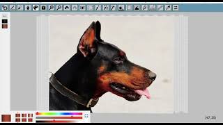 ARCHIVED Working with Images 1 of 3  temporary tutorial [upl. by Aillij]