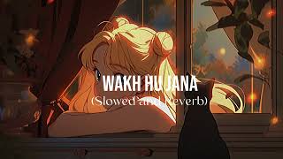 Wakh Hu Jana lofi Slowed and Reverb [upl. by Irrem]