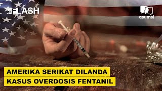 Amerika Serikat Dilanda Kasus Overdosis Fentanil  Asumsi Flash [upl. by Onairam946]