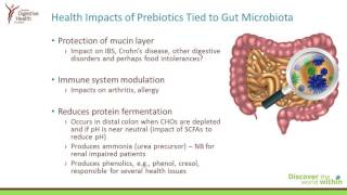 Prebiotics  The Ultimate Fibre [upl. by Yenoh]