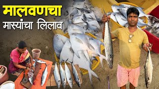 मालवणचा मास्यांचा लिलाव  संध्याकाळचा लिलाव  Malvan Fish Auction [upl. by Burg129]