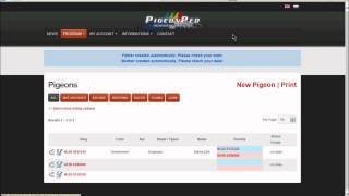 PigeonPedCom Help 3 Add pigeons fill a pedigree with AutoFill [upl. by Nosraep418]