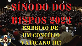 O Sínodo dos Bispos de 2023 Novo passo na autodemolição da Igreja [upl. by Aradnahc]