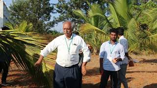 Management of Rugose Spiraling Whitefly  Dr S Sridharan Principal [upl. by Ecnarual]