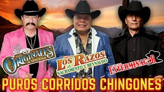 Los Razos Los Originales de San Juan amp Grupo Exterminador  Corridos y Rancheras  30 Éxitos de Oro [upl. by Hutner]