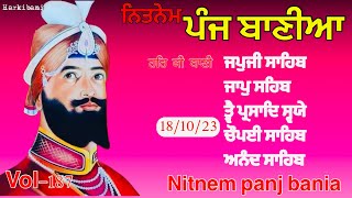 Nitnem panj baniaਨਿਤਨੇਮ ਪੰਜ ਬਾਣੀਆनितनेम साहिब  nitnem Sahib full path panjbaniapath nitnem [upl. by Ordnas]