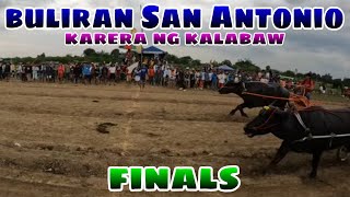 finals buliran San Antonio karera ng kalabaw 2024 [upl. by Marget]