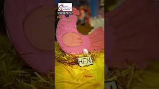 haytastic Farm Animals Play Pretend Activity atTHE SENSORY HOUSE [upl. by Haidebej]