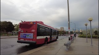 TTC 185 Sheppard Central Bus Ride 1269 from Bessarion Stn to Leslie Stn October 4th 2024 [upl. by Raab831]