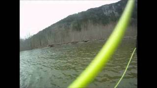 Fly Fishing for Bull Trout on the Squamish River [upl. by Luciana]