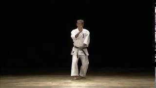 Okinawa Shorin Ryu Shubukan  9 Dan Uema Yasuhiro Sensei Katas [upl. by Eanal]