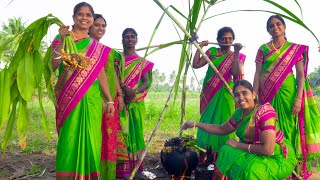 PONGAL CELEBRATION in Our Village  We celebrate Our Traditional Festival  Village Pongal Festival [upl. by Adirem719]