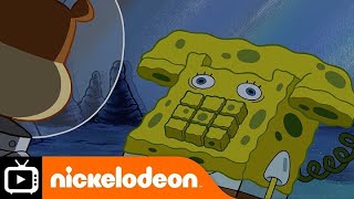 Sünger Bob KarePantolon  Kimim Ben Şarkısı  Nickelodeon Türkiye [upl. by Lisabeth595]