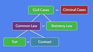 Episode 11 What is Torts And what Torts is not [upl. by Bolt]