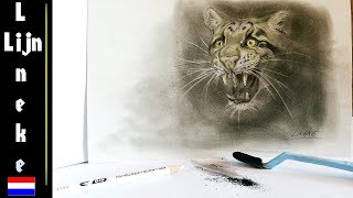 Hoe teken je een Luipaard  Houtskool tekening met pastel potlood [upl. by Yerac959]