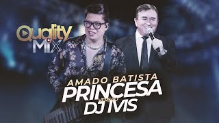 Princesa  Amado Batista Versão Piseiro QUALITY MIX [upl. by Einallem580]