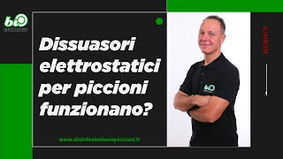 Dissuasori elettrostatici per piccioni funzionano [upl. by Eleazar355]