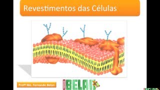 BIOLOGIA MAIS  Revestimento das células [upl. by Ignatz53]