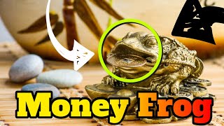 Feng Shui Money Frog  How to Place amp Caring Feng Shui Money Frog [upl. by Apps]