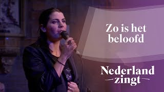 Nederland Zingt Zo is het beloofd [upl. by Nnairda912]