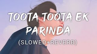 Toota Toota Ek Parinda  Kailash kher  Music Lyrics [upl. by Ailasor786]