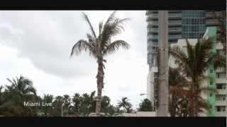 Collins Ave Avenue  Atlantic Ocean  Miami Beach [upl. by Sayre]