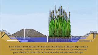 Humedales Artificiales [upl. by Hurst]