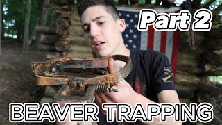 BEST BEAVER TRAPPING VIDEO ON YOUTUBE  Beaver Trapping  EP 2 [upl. by Hnil100]