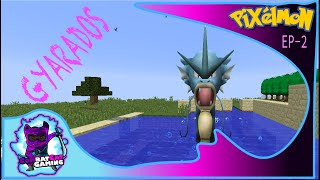 CATCHING AND EVOLVING MAGIKARP INTO GYARADOS MINECRAFT MODDED  PIXELMON EP2 [upl. by Kleinstein]