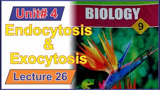 Endocytosis amp Exocytosis  Class 9 Biology  Lecture 26  IlmKaGhar [upl. by Coward]