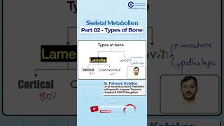 Types of Bone in Skeletal Metabolism By Dr Faheem kotekar  Orthopedic Residency [upl. by Wendalyn]