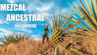 OAXACA Y SU MEZCAL ANCESTRAL  Documental [upl. by Yretsym]