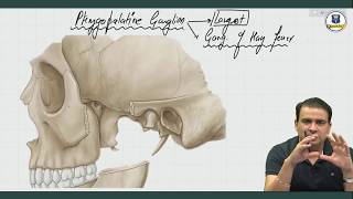 Parasympathetic Ganglia  Anatomy by Dr Ashwani Kumar [upl. by Ttoile]