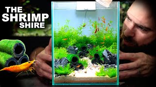 The Shrimp Shire Nano Neocaridina Shrimp Aquascape Tutorial w No Filter [upl. by Ennyroc381]