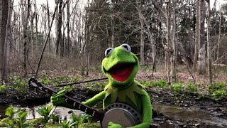 A Special Performance of quotRainbow Connectionquot from Kermit the Frog  The Muppets [upl. by Ahsemik]