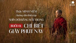 Thầy Minh Niệm  Thiền tọa 01 Chỉ biết giây phút này  Chuỗi Nhìn đời bằng mắt trong  16062024 [upl. by Fenn171]