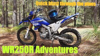 WR250R Adventures  Quick lap through the Gnangara Pines [upl. by Calmas]