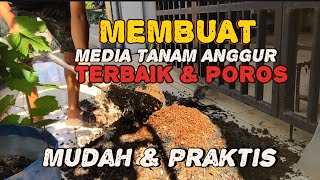 MEDIA TANAM TERBAIK UNTUK ANGGUR anggur gardening [upl. by Aivizt]