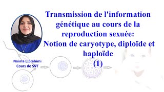 SVTBacBiofTransmission de linformation génétique Notion de caryotype diploïde et haploïde [upl. by Uzzia]