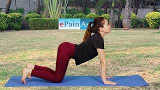 How to Do Marjariasana Yoga or Bidalasana Pose and Its Benefits [upl. by Jacquenetta]