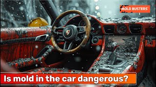 Is mold in the car dangerous  Mold Busters [upl. by Ahseral]