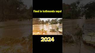 FLOOD IN KATHMANDU shorts flood [upl. by Gerbold]