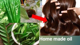 Aloe Vera and curry Leaves Hair oil for fast Hair growth बालों को दो गुणा लम्बा घना मुलायम बनाऐं [upl. by Iamhaj]